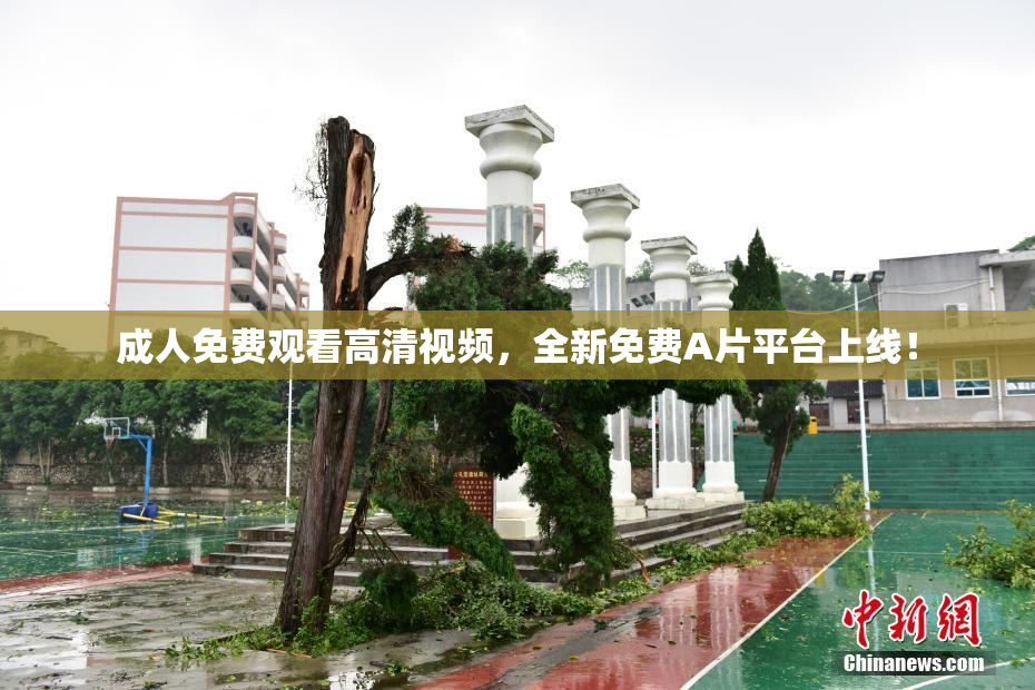 成人免费观看高清视频，全新免费A片平台上线！