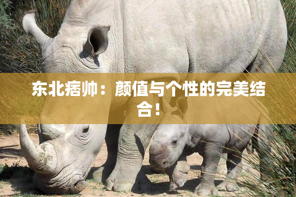 东北痞帅：颜值与个性的完美结合！