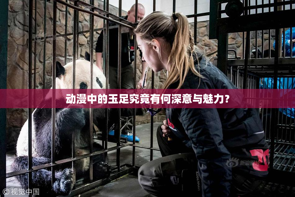 动漫中的玉足究竟有何深意与魅力？