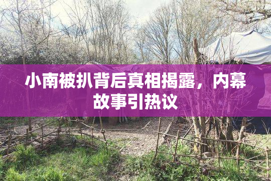 小南被扒背后真相揭露，内幕故事引热议