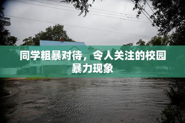 同学粗暴对待，令人关注的校园暴力现象