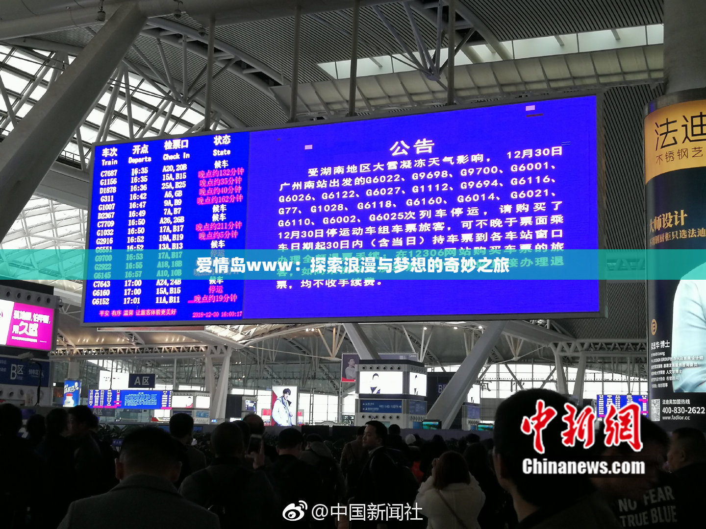 爱情岛www：探索浪漫与梦想的奇妙之旅