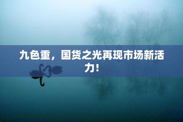九色重，国货之光再现市场新活力！