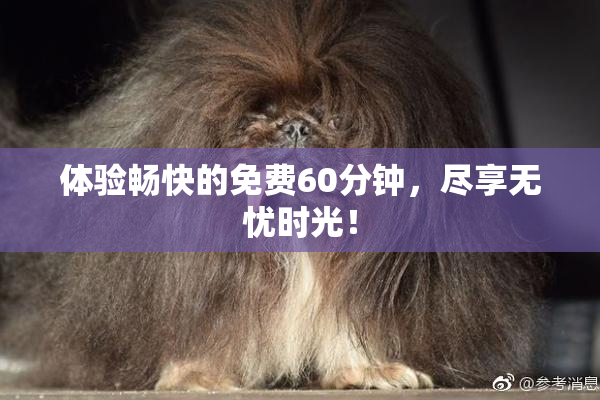 体验畅快的免费60分钟，尽享无忧时光！