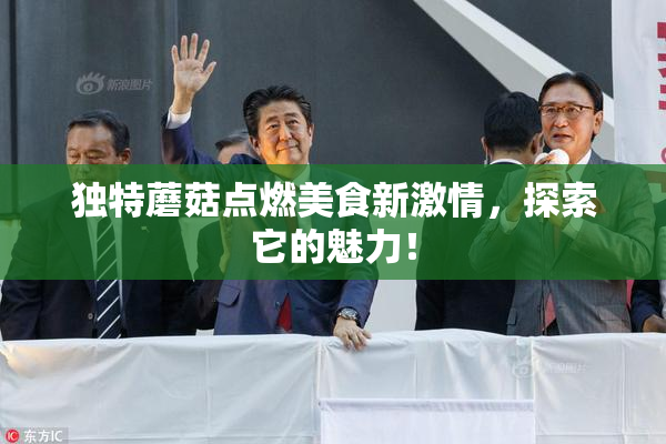 独特蘑菇点燃美食新激情，探索它的魅力！