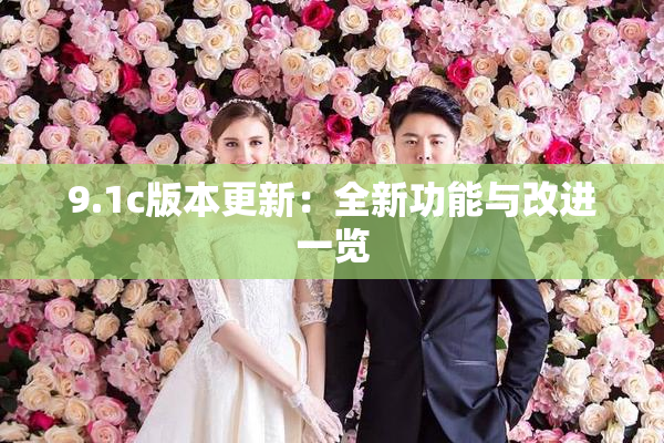 9.1c版本更新：全新功能与改进一览