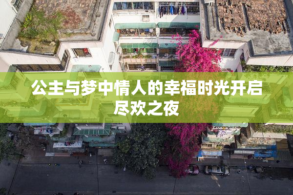 公主与梦中情人的幸福时光开启尽欢之夜