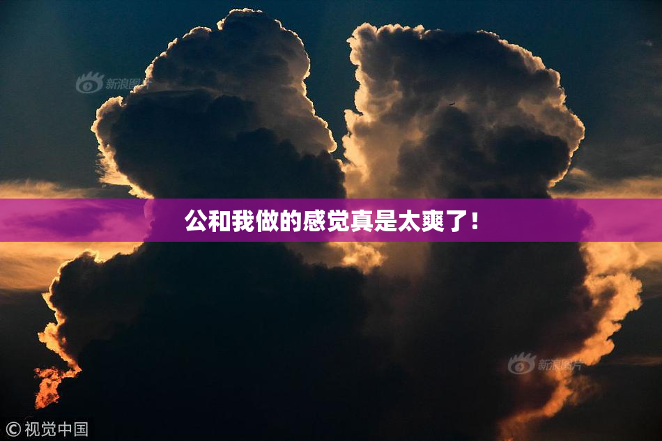 公和我做的感觉真是太爽了！