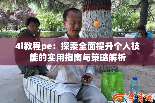 4i教程pe：探索全面提升个人技能的实用指南与策略解析