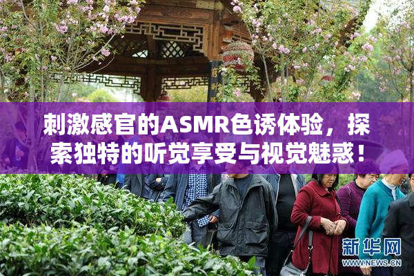 刺激感官的ASMR色诱体验，探索独特的听觉享受与视觉魅惑！