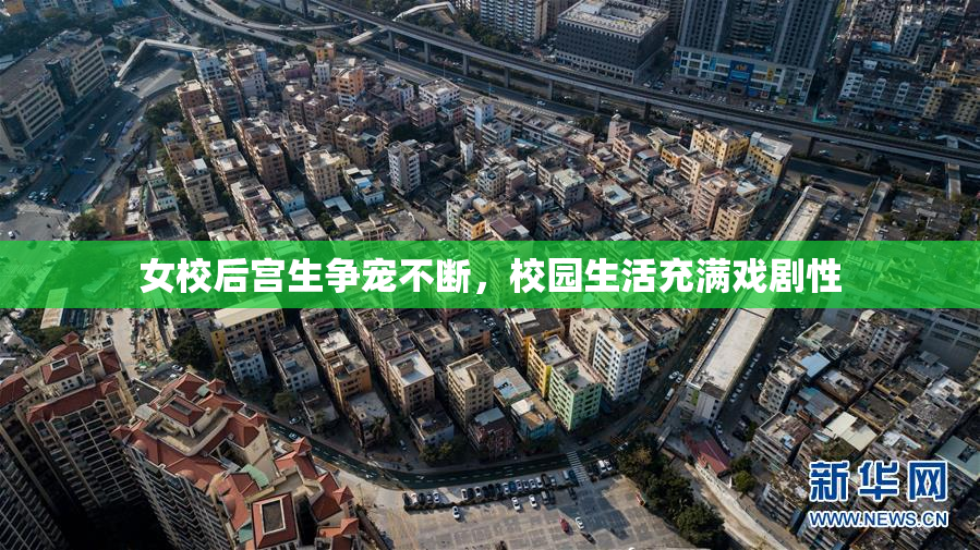 女校后宫生争宠不断，校园生活充满戏剧性