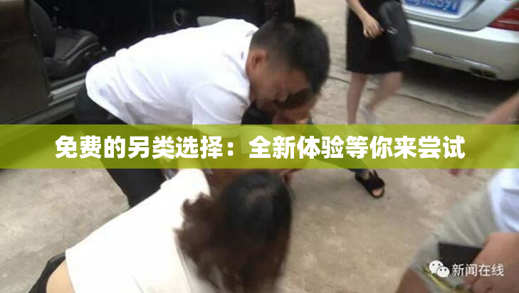 免费的另类选择：全新体验等你来尝试