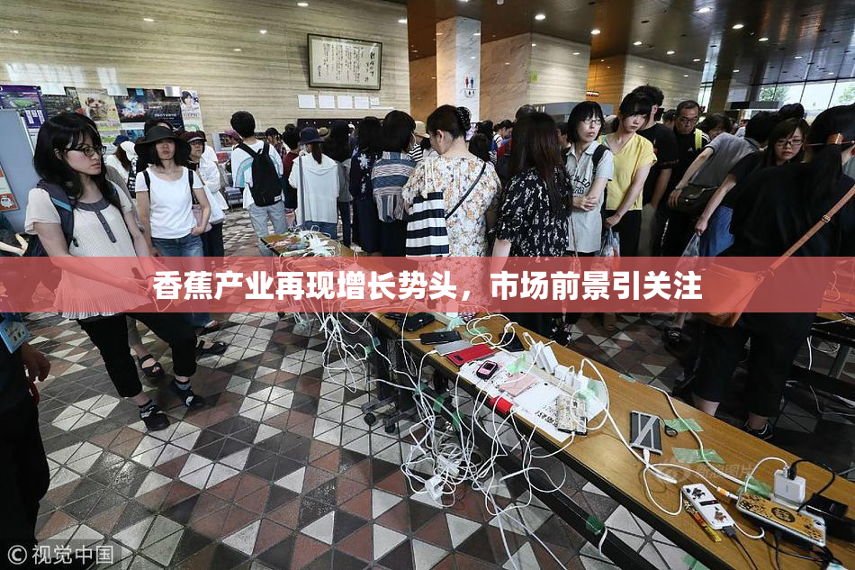香蕉产业再现增长势头，市场前景引关注