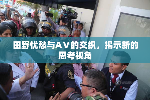 田野忧愁与AⅤ的交织，揭示新的思考视角
