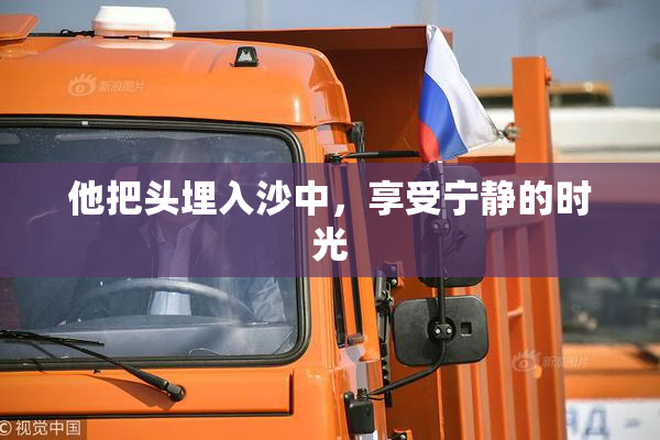 他把头埋入沙中，享受宁静的时光