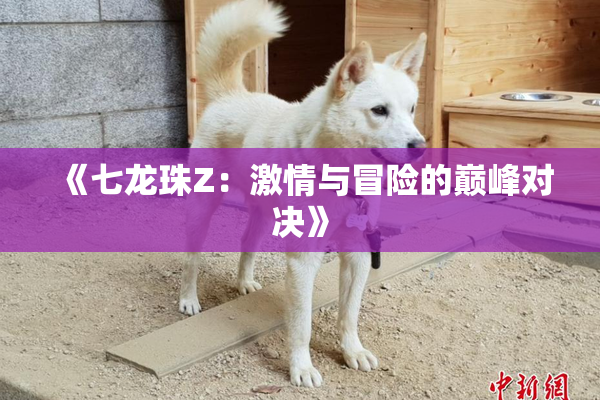 《七龙珠Z：激情与冒险的巅峰对决》