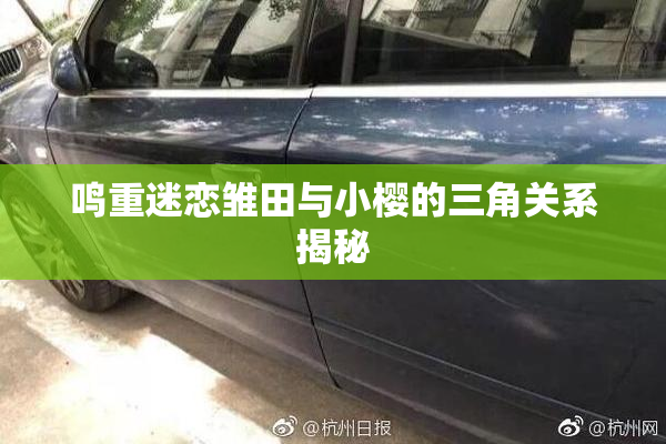 鸣重迷恋雏田与小樱的三角关系揭秘