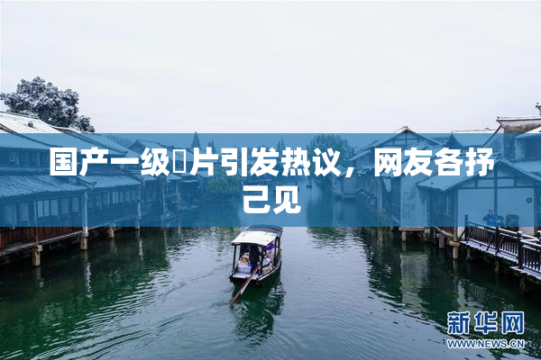 国产一级婬片引发热议，网友各抒己见