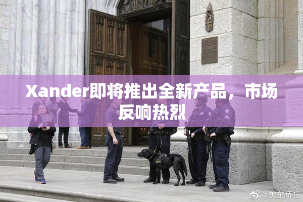 Xander即将推出全新产品，市场反响热烈