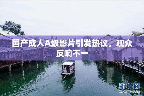 国产成人A级影片引发热议，观众反响不一