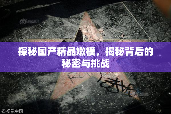 探秘国产精品嫩模，揭秘背后的秘密与挑战