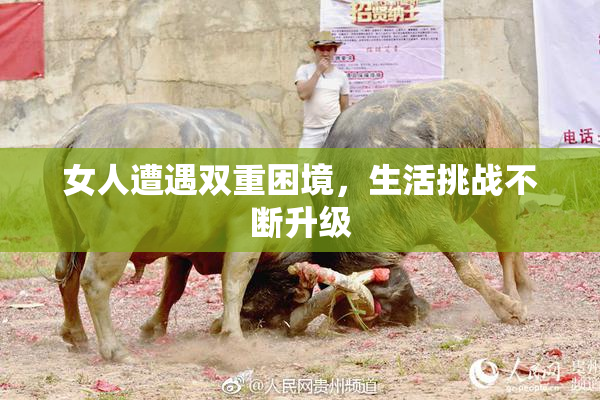 女人遭遇双重困境，生活挑战不断升级