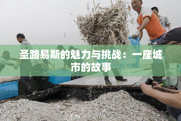 圣路易斯的魅力与挑战：一座城市的故事