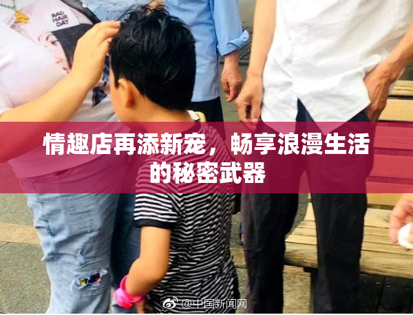 情趣店再添新宠，畅享浪漫生活的秘密武器