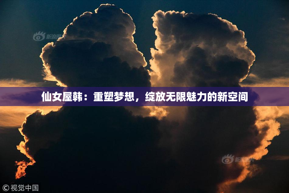仙女屋韩：重塑梦想，绽放无限魅力的新空间