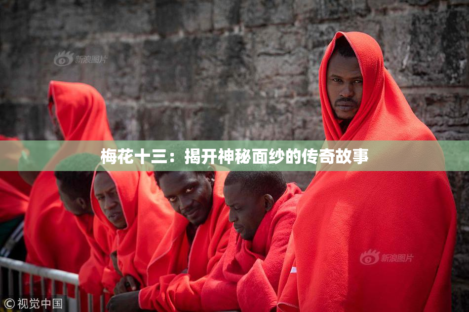 梅花十三：揭开神秘面纱的传奇故事