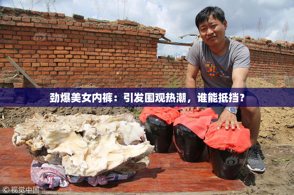 劲爆美女内裤：引发围观热潮，谁能抵挡？