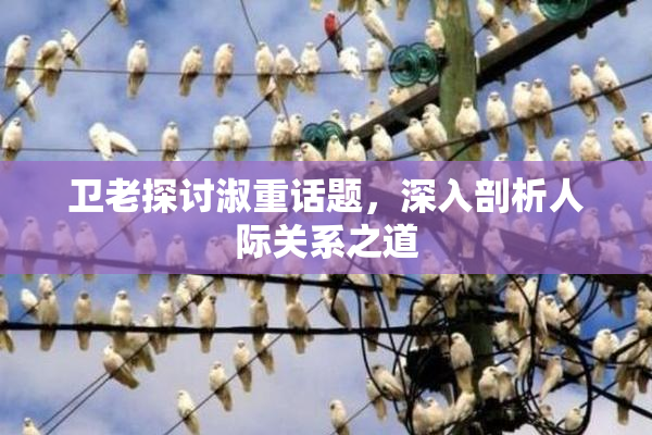 卫老探讨淑重话题，深入剖析人际关系之道