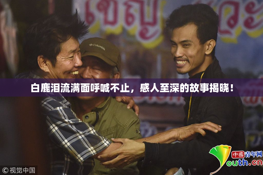 白鹿泪流满面呼喊不止，感人至深的故事揭晓！