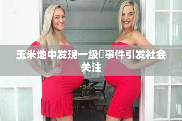 玉米地中发现一级婬事件引发社会关注