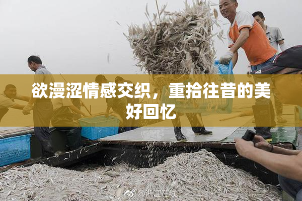 欲漫涩情感交织，重拾往昔的美好回忆