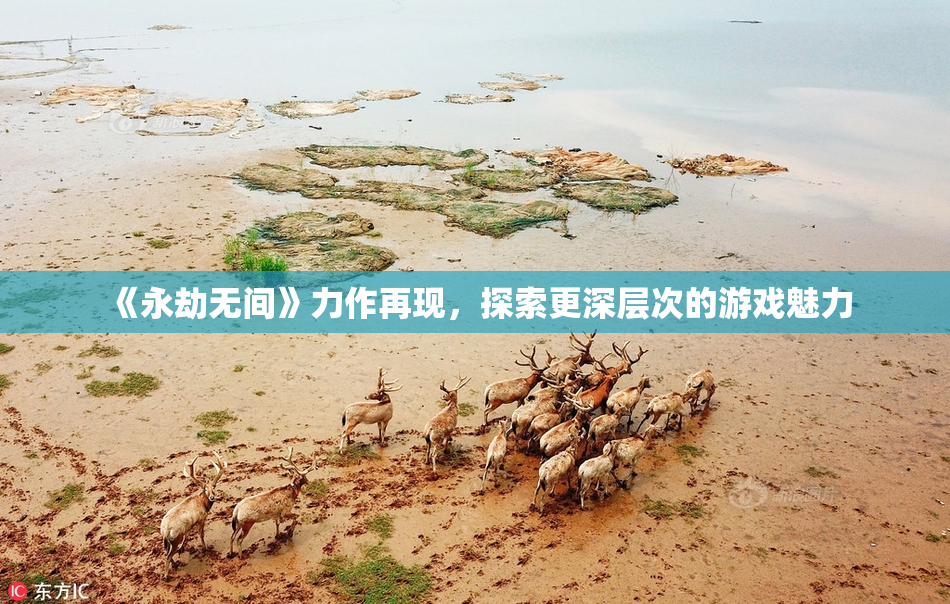 《永劫无间》力作再现，探索更深层次的游戏魅力