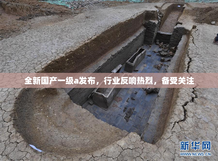 全新国产一级a发布，行业反响热烈，备受关注