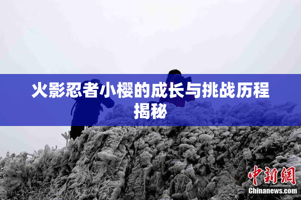 火影忍者小樱的成长与挑战历程揭秘
