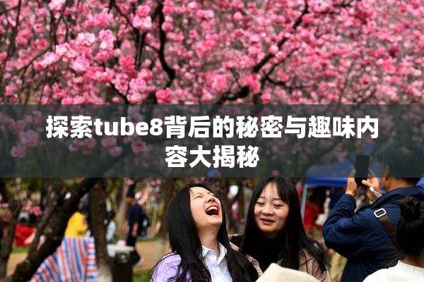 探索tube8背后的秘密与趣味内容大揭秘