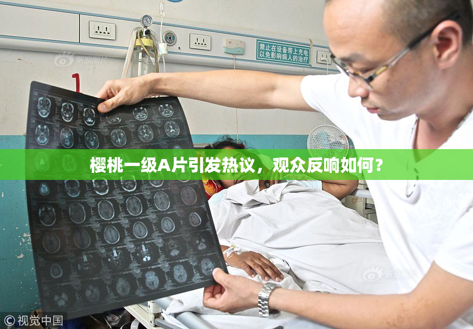 樱桃一级A片引发热议，观众反响如何？