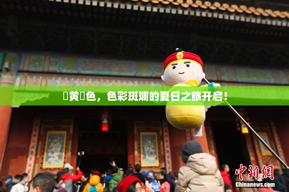 ✿黄✿色，色彩斑斓的夏日之旅开启！