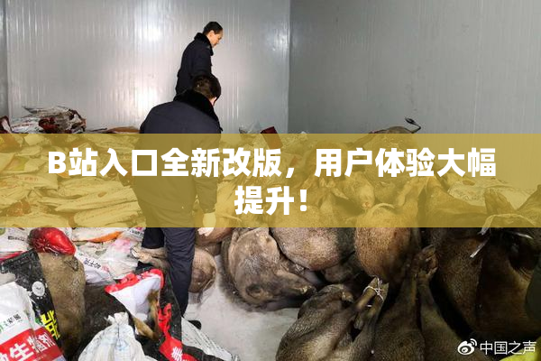 B站入口全新改版，用户体验大幅提升！
