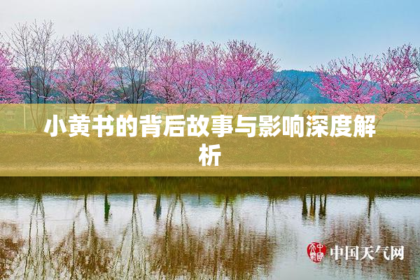 小黄书的背后故事与影响深度解析