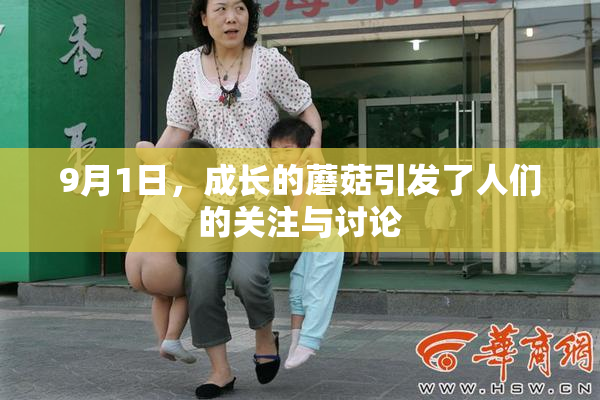 9月1日，成长的蘑菇引发了人们的关注与讨论