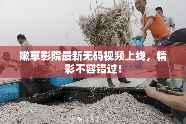 嫩草影院最新无码视频上线，精彩不容错过！