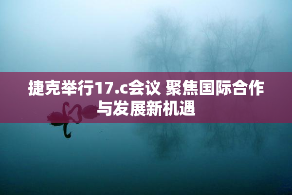 捷克举行17.c会议 聚焦国际合作与发展新机遇
