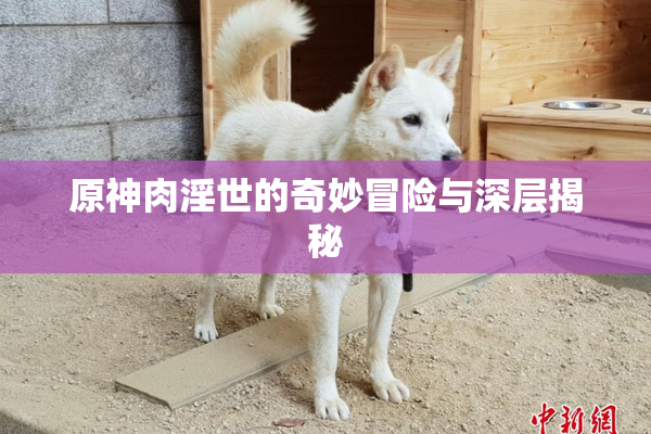 原神肉淫世的奇妙冒险与深层揭秘