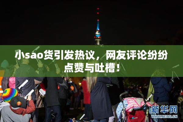 小sao货引发热议，网友评论纷纷点赞与吐槽！