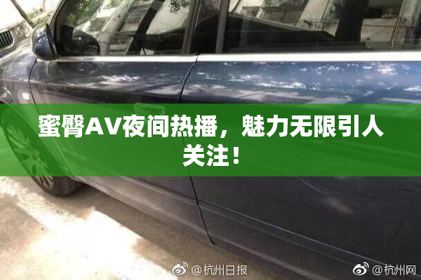 蜜臀AV夜间热播，魅力无限引人关注！