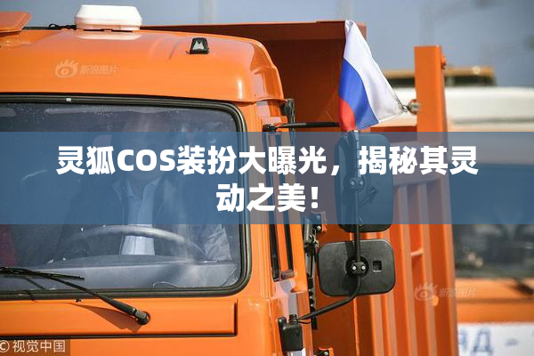 灵狐COS装扮大曝光，揭秘其灵动之美！